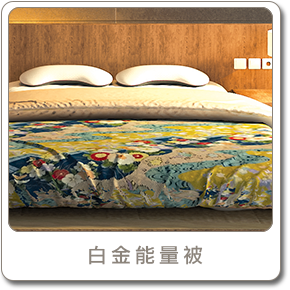 白金能量被